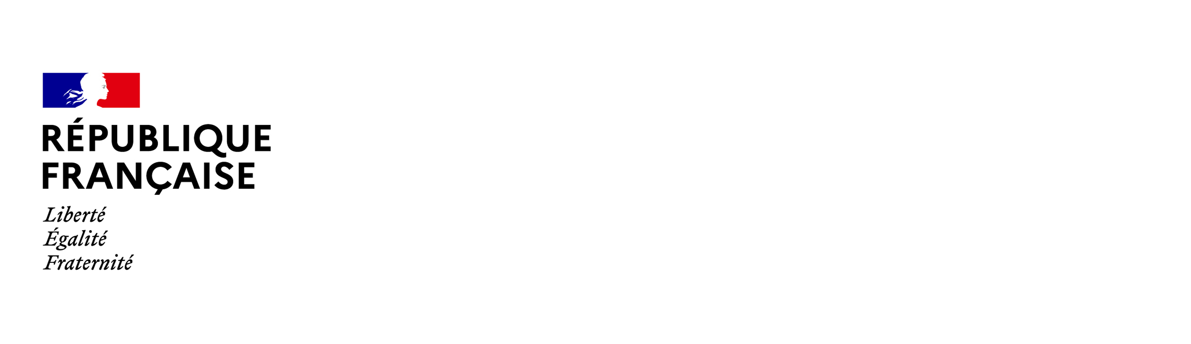 Logo de insei