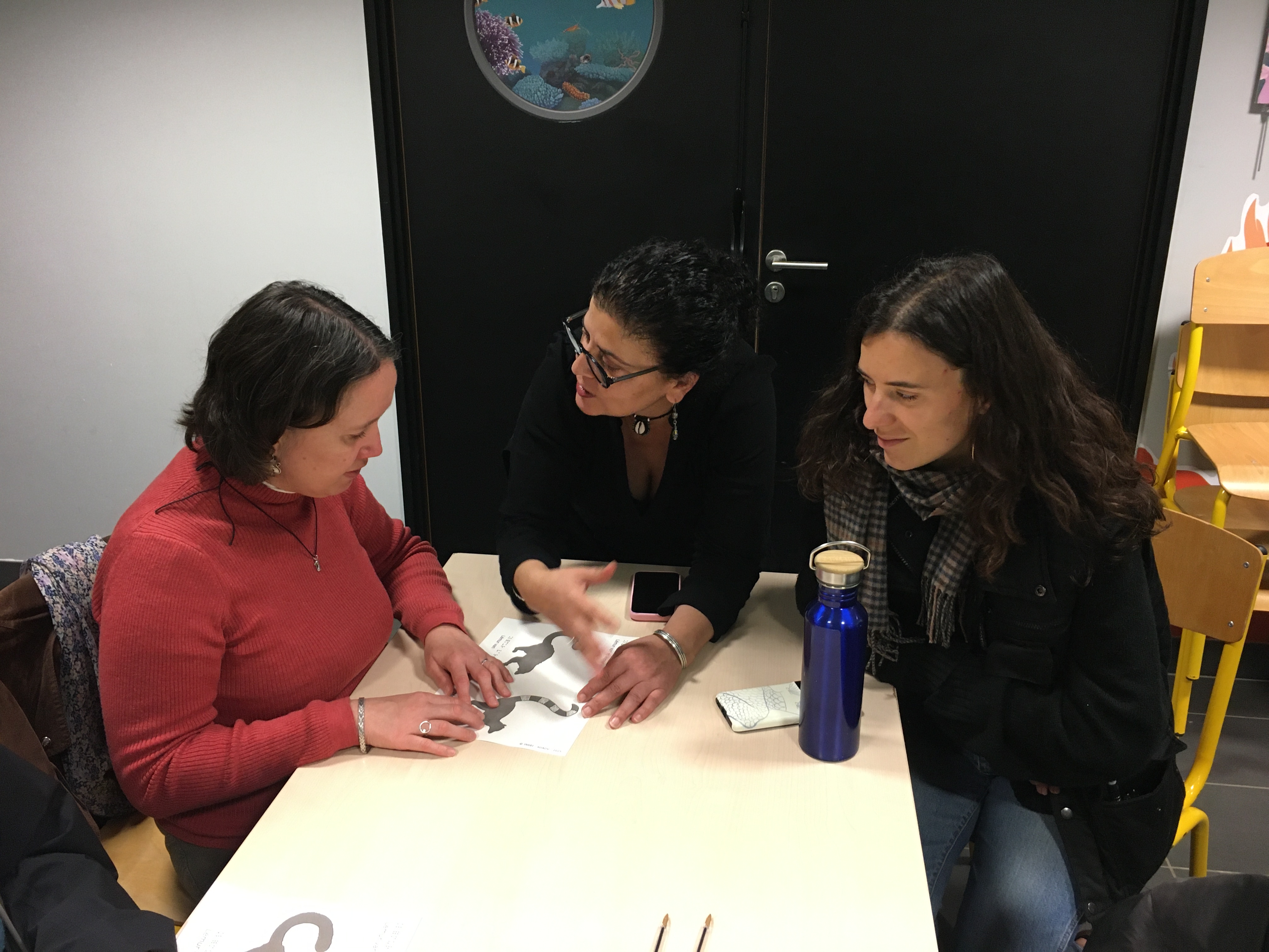 Exploration des différences entre deux espèces de lémuriens