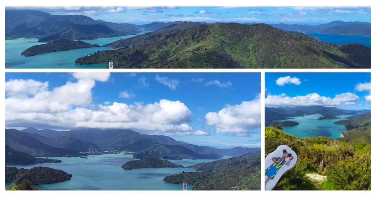 Turquoise à Cathedral Cove