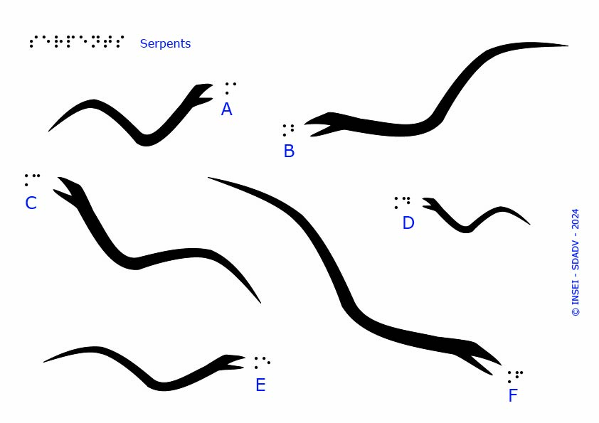 Lecture tactile : longueurs