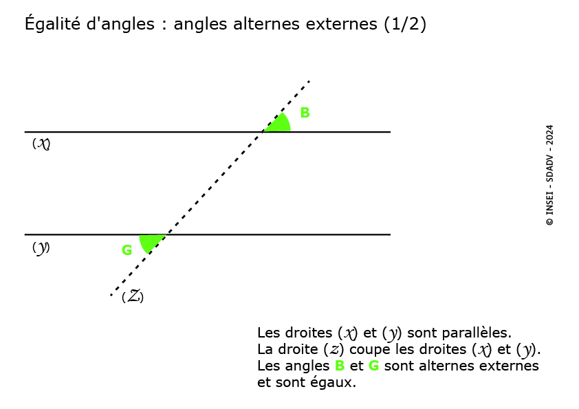Vignette angles alternes externes