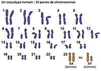 Imagette du document