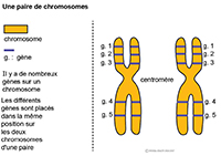 Imagette du document