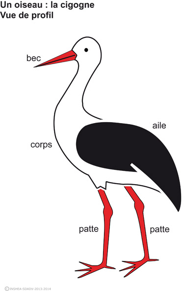 Imagette du document
