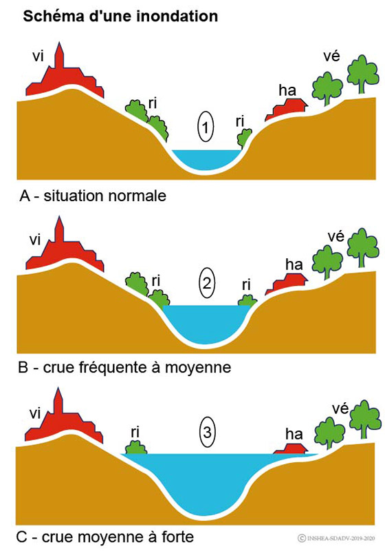 Imagette du document
