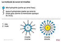 Imagette du document