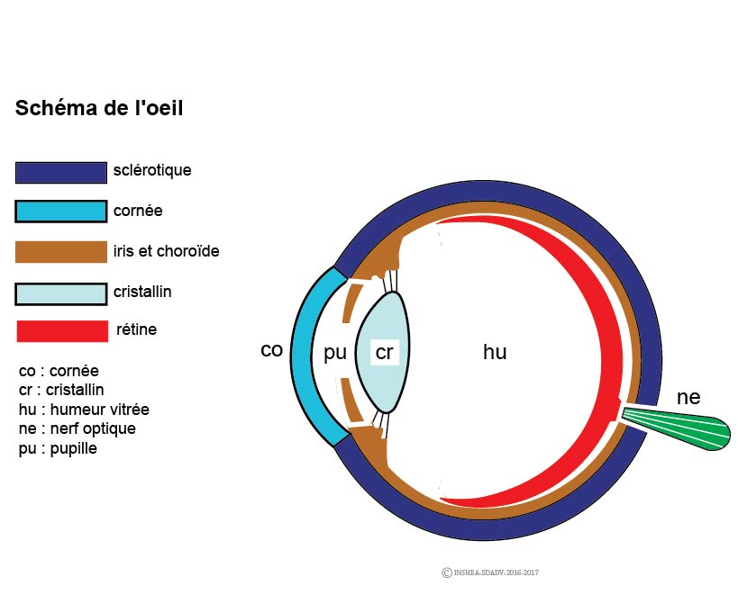 Imagette du document