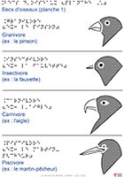 Imagette du document