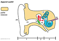 Imagette du document