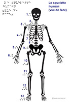 Imagette du document