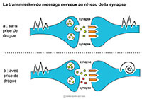 Imagette du document