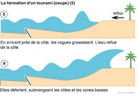 Imagette du document