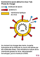 Imagette du document