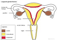 Imagette du document