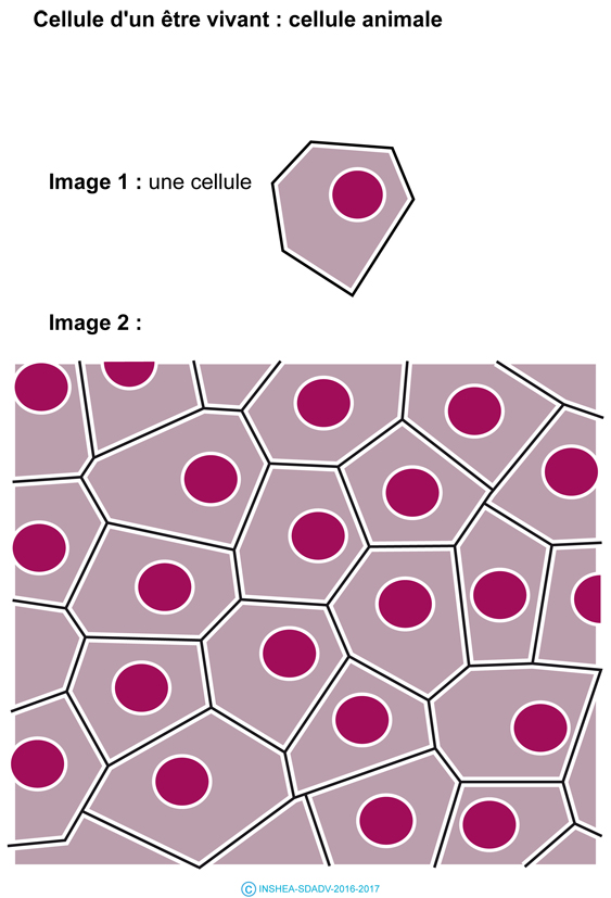 Illustration du document