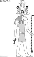 Imagette du document